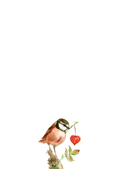 Roze vogeltje met een hartje 2