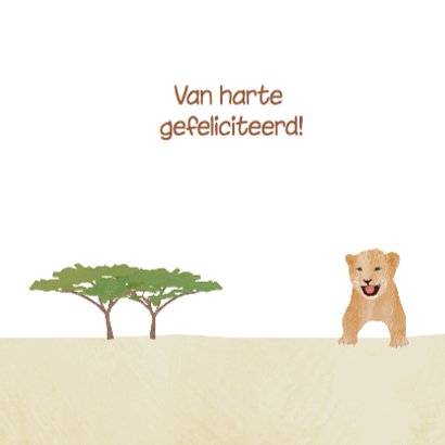 Safari dieren verjaardagskaart 3