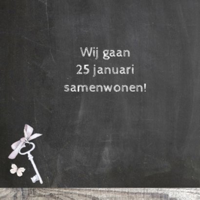samenwonen houten huisjes 2