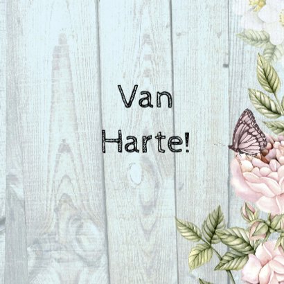 Sarah Van Harte vintage 3