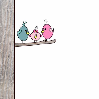 Schattig felicitatie kaartje geboorte meisje met een vogel 2