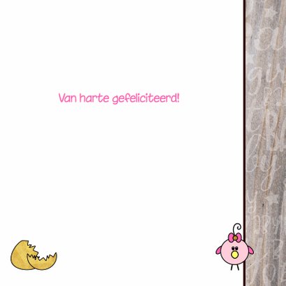 Schattig felicitatie kaartje geboorte meisje met een vogel 3