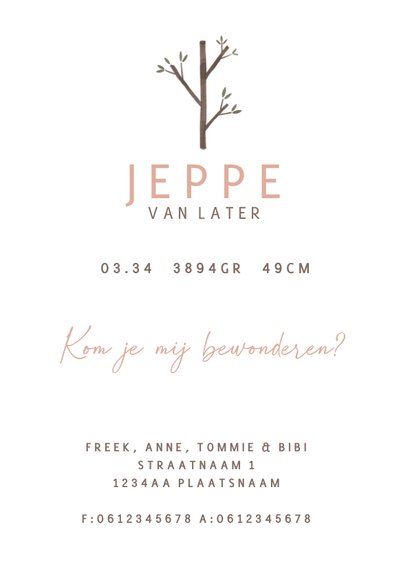 Schattig geboortekaartje boom schommel vogel 3