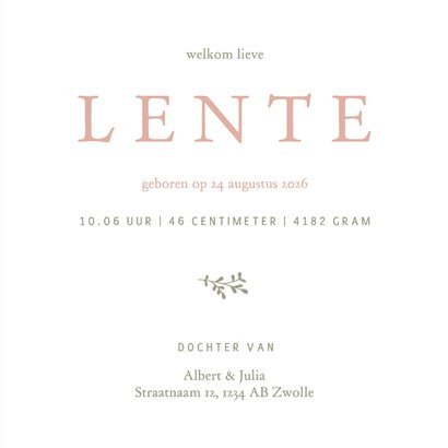 Schattig geboortekaartje met takjes en bijtjes  3