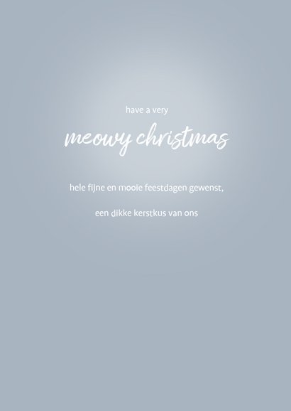 Schattig kerstkaartje met grijze kat en kerstmuts 3