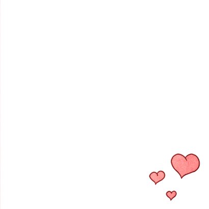 Schattig vosje 3