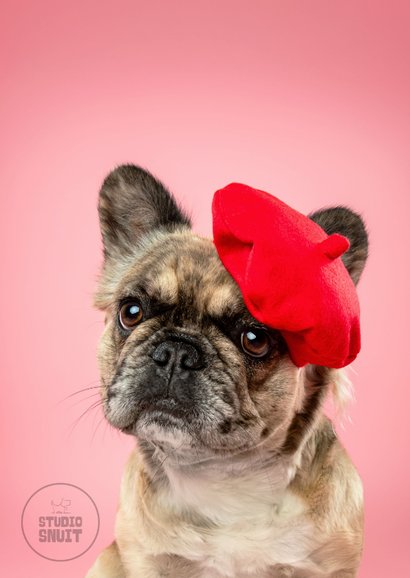 Schattige bedankkaart van Franse bulldog met baret 2