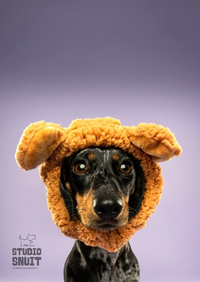 Schattige beterschapskaart van teckel met berenmuts knuffel 2