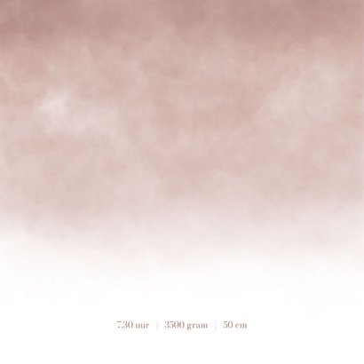 Schattige geboortekaartje tweede kindje dasjes 2