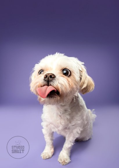 Schattige liefdeskaart van boomer hondje met tong 2