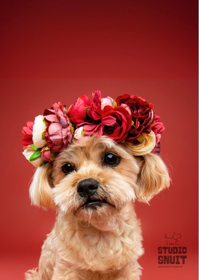 Schattige moederdagkaart van hondje met bloemenkrans 2