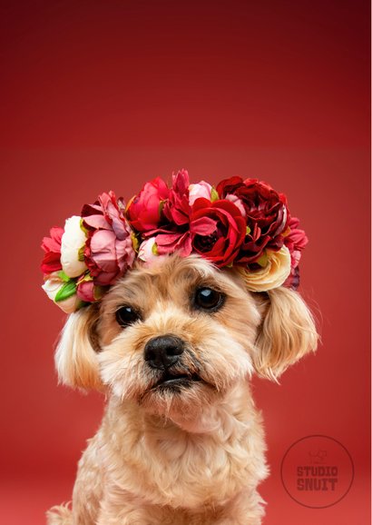 Schattige moederdagkaart van hondje met bloemenkrans 2