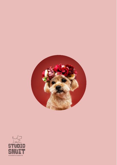 Schattige verjaardagskaart van hondje met bloemenkrans 2