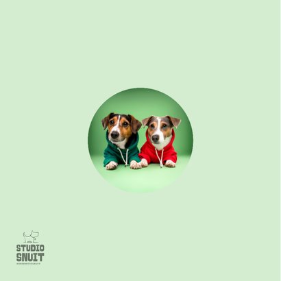 Schattige vriendschapskaart voor beste vriend van 2 hondjes 2