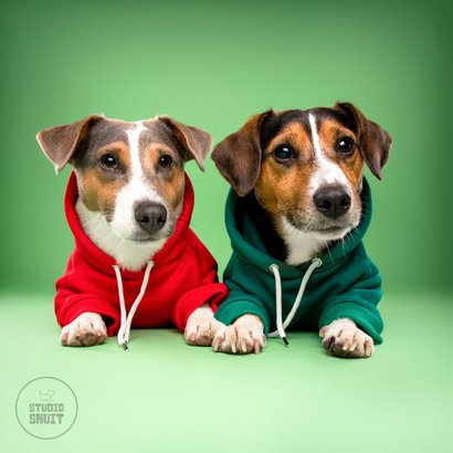 Schattige vriendschapskaart voor beste vriend van 2 hondjes 2
