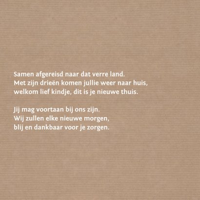 Silhouetten - vliegtuig - DH 2