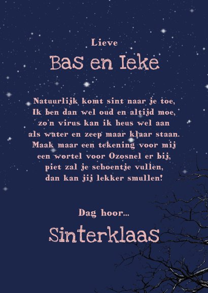 Sinterklaas Maan schijnt door de bomen 3