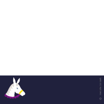Sinterklaas paard 2