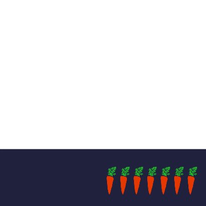 Sinterklaas paard 3