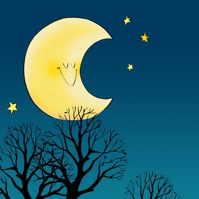 Sinterklaaskaart Loeki als Sinterklaas zit op het dak 2