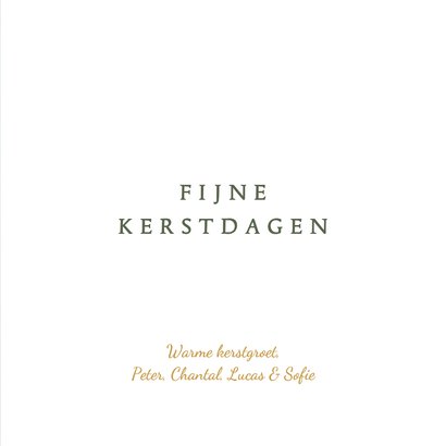 Sjieke kerstkaart koolmeesje kerstboom lichtjes 3