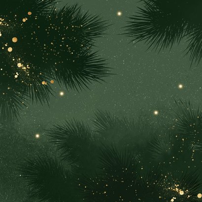 Sjieke kerstkaart koolmeesje kerstboom lichtjes Achterkant