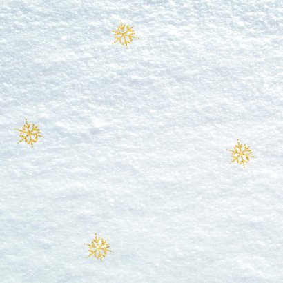 Sneeuw 2019 kerstkaart 2