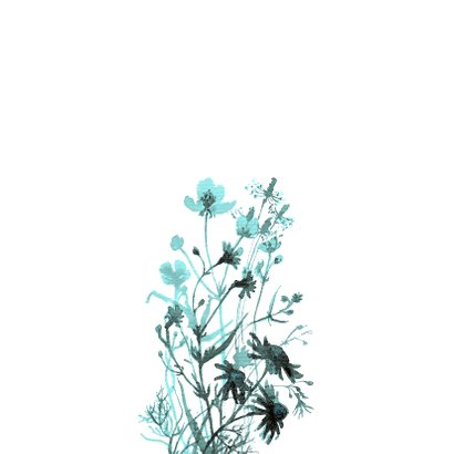 Sorry kaart met getekende veldbloemen 2
