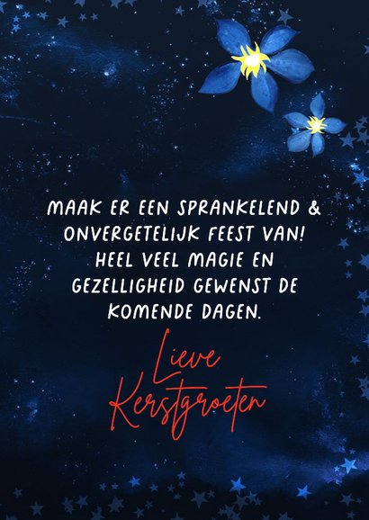 Sprankelende kerstkaart met kolibri en lichtjes 3