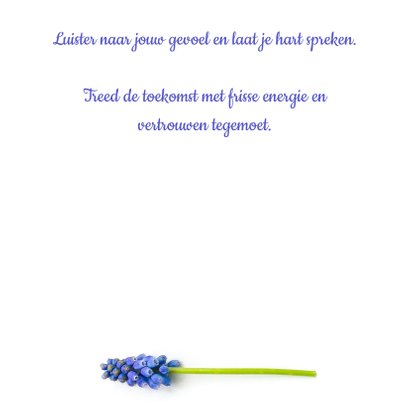 Spreukenkaart fresh energy met bloemen en een bij 3