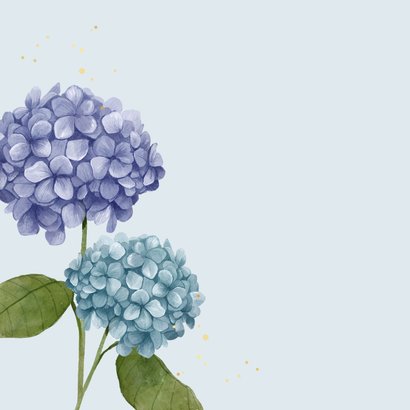 Sterkte beterschap ernstig ziek bloemen hortensia 2