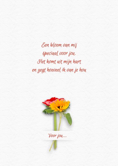 Sterkte bloemen A RB 2