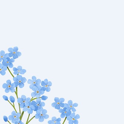 Sterkte herdenken ik denk aan je vergeet mij nietjes bloemen 2