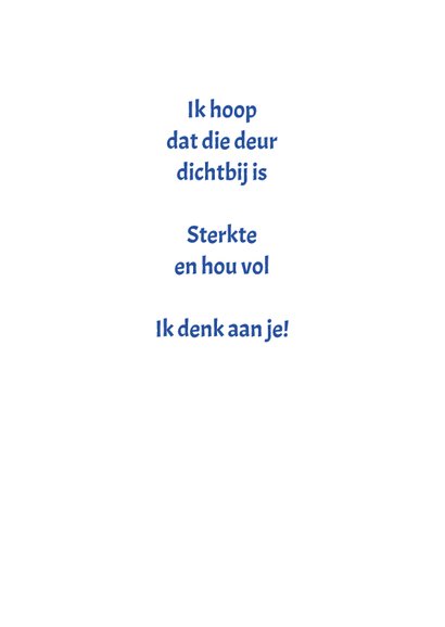 Sterkte houten deur 3