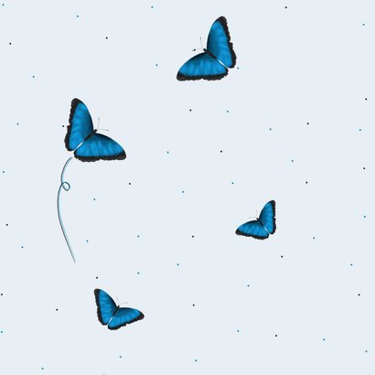 Sterkte kaart blauwe vlinders 2