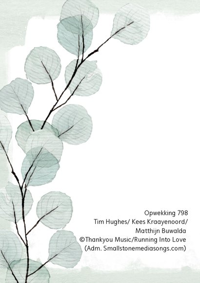 Sterkte kaart eucalyptus "Houd vol" 2