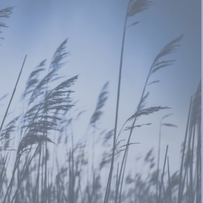 Sterkte kaart Gecondoleerd fotokaart condoleance 2