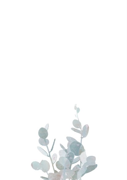 Sterkte kaart met eucalyptustak 2