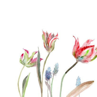Sterkte kaart met tulp aquarel 2