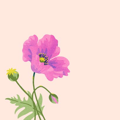 Sterkte kaart roze bloemen klaprozen 2