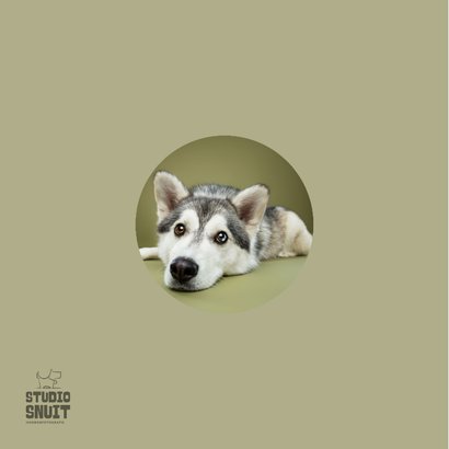 Sterkte kaart van liggend hondje met kop op grond 2