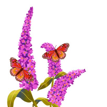 Sterkte kaart vlinder paarse bloemen 2