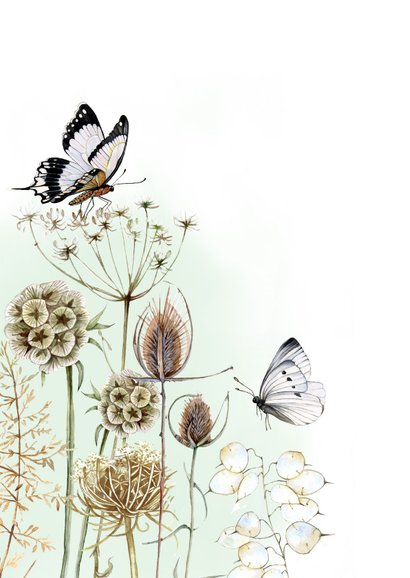 Sterkte kaartje botanische takken met vlinder 2