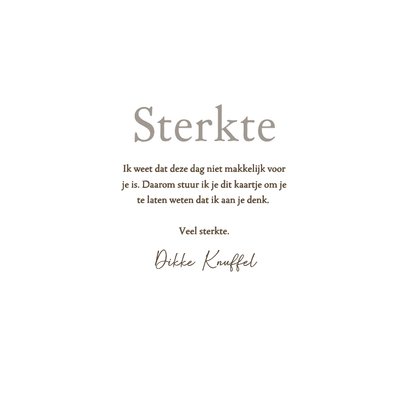 Sterkte kaartje sterkte met sneeuwklokjes 3