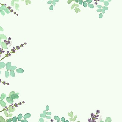 Sterkte lavendel en eucalyptus 2