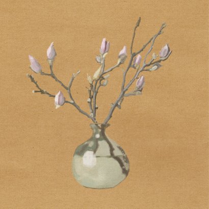 Sterkte - Magnolia - MW 2