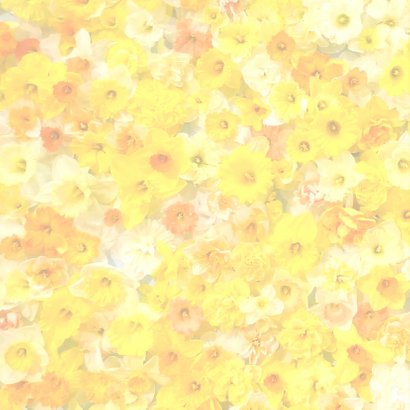 Sterkte Opbeurende bloemen 2