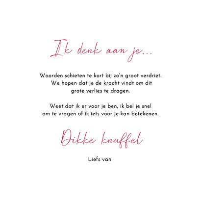 Sterkte roze witte tulpen 3