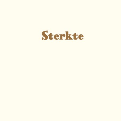 Sterkte Steen Zee Zon 3