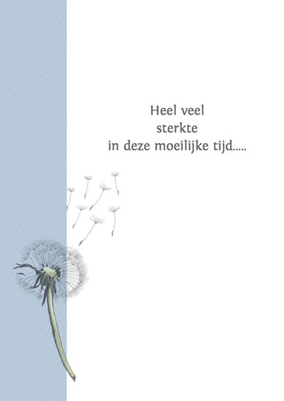 Sterkte uitgebloeide paardebloem 2